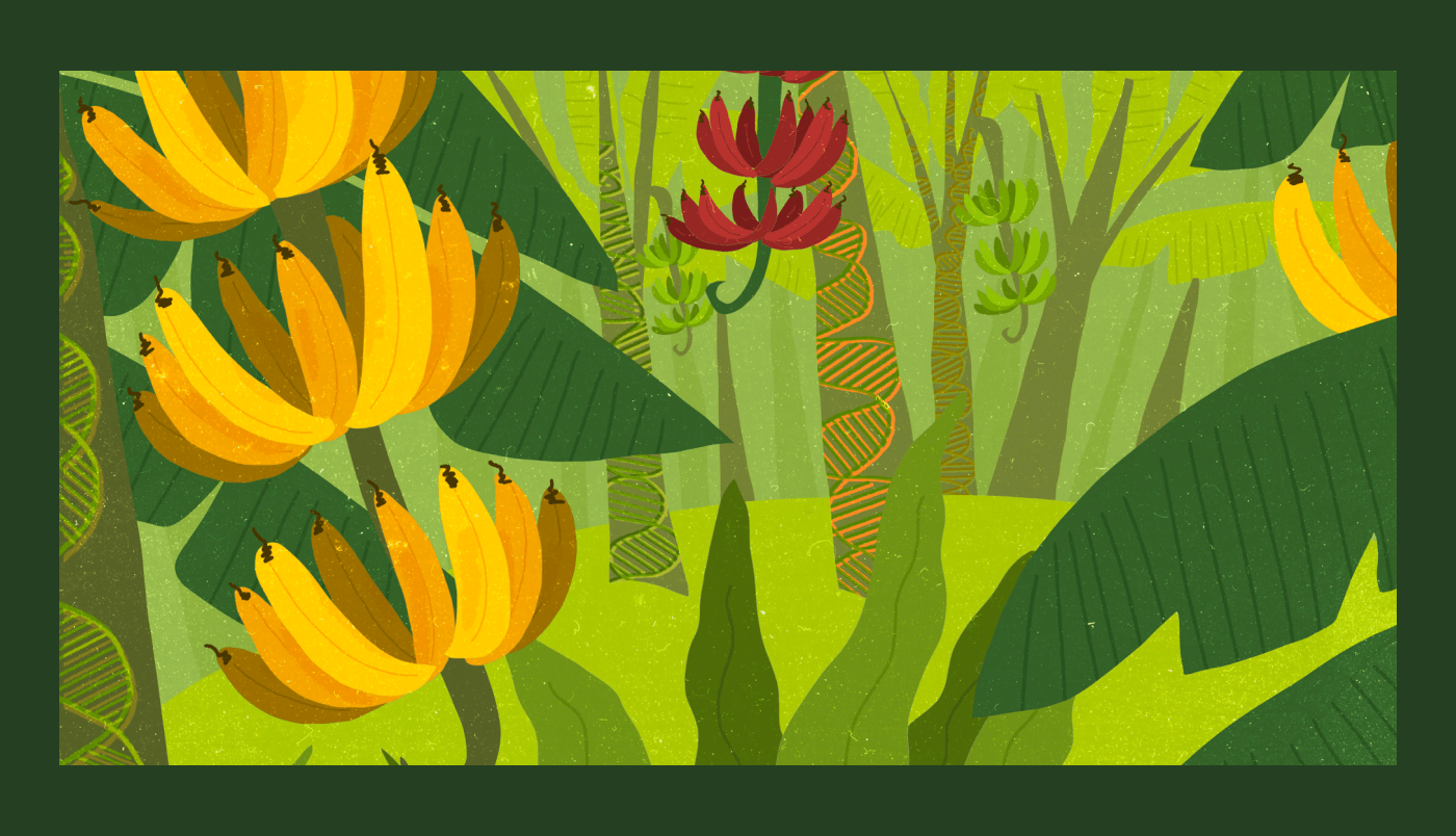 Groww Magazine image 1